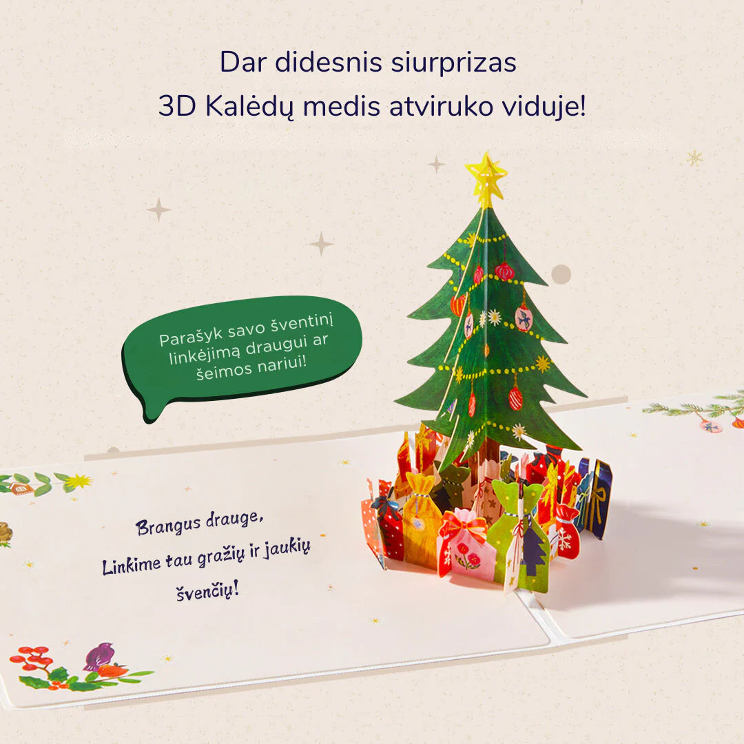 Mideer - Kalėdinė dėlionė pašto dėžutėje