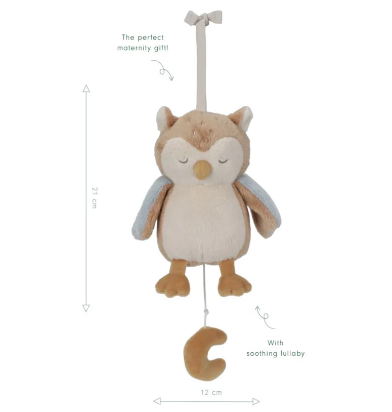 Little Dutch Muzikinis žaislas - grojanti pelėda