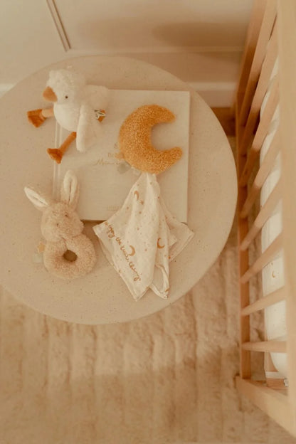 Little Dutch Naujagimio lankymo rinkinys - Newborn Naturals