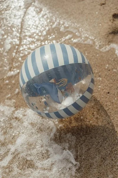 Little Dutch paplūdimio kamuolys - Ocean World