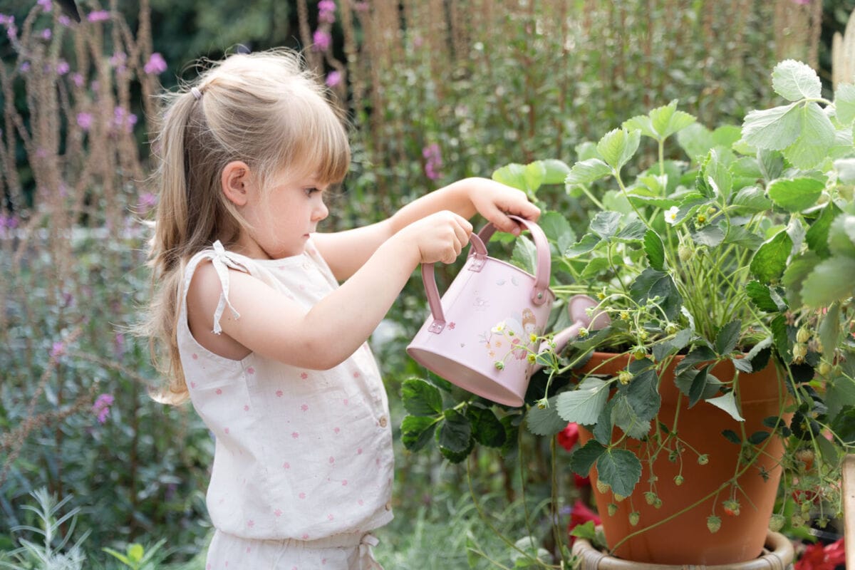 Little Dutch sodo laistytuvas - Fairy garden