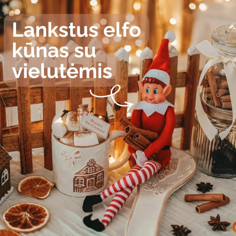 Elfas išdaigininkas